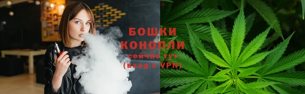 ешки Осинники