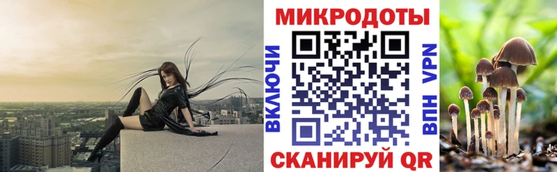 Купить где  Рошаль  Псилоцибиновые грибы мухоморы 